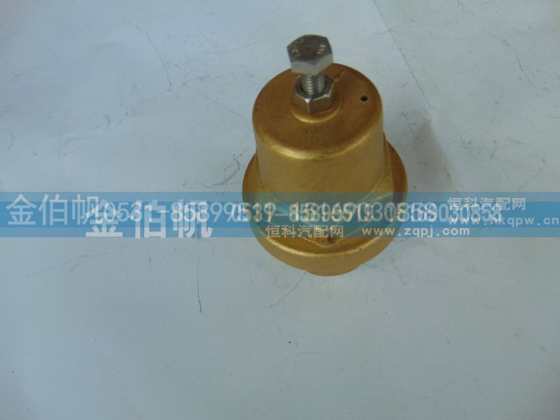 DZ93259560152,经济阀,济南金伯帆汽车配件有限公司