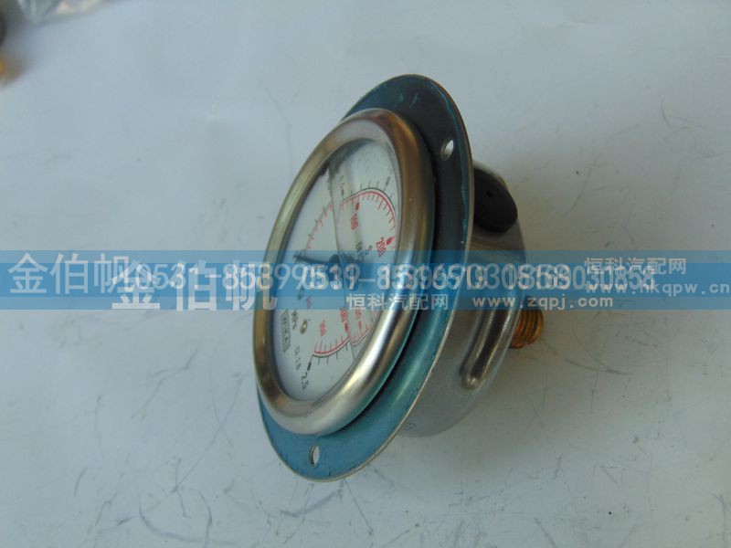 DZ 96259560379  2.5Mpa,轴向压力表,济南金伯帆汽车配件有限公司