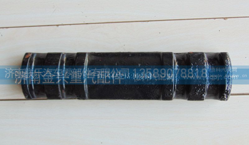 DZ91259520246,德龙双卡后盖板,济南联乐汽车零部件有限公司