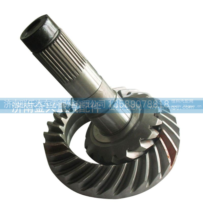 AZ9981320059,中桥盆角齿,济南联乐汽车零部件有限公司