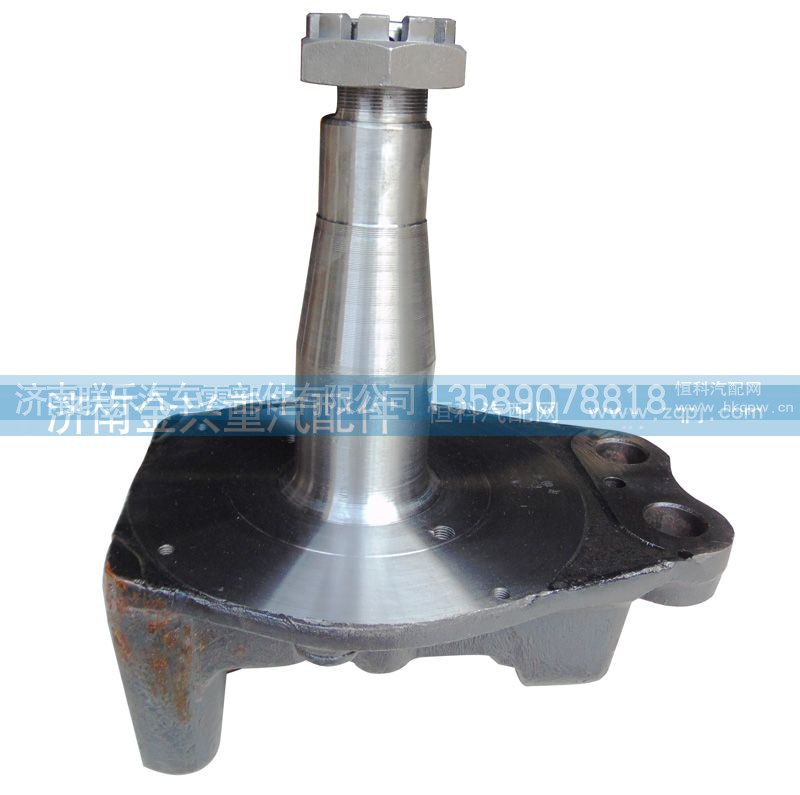 199112410057,轉向節(jié)總成,濟南聯(lián)樂汽車零部件有限公司