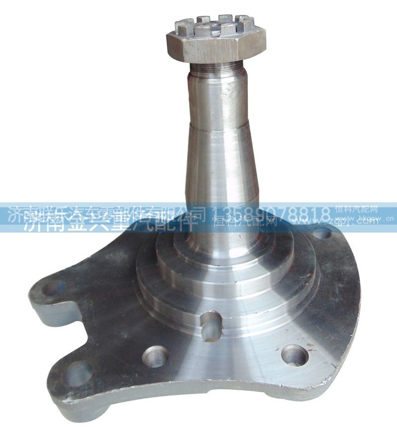 AZ9100413066（3067）,碟剎09款轉(zhuǎn)向節(jié)總成,濟南聯(lián)樂汽車零部件有限公司