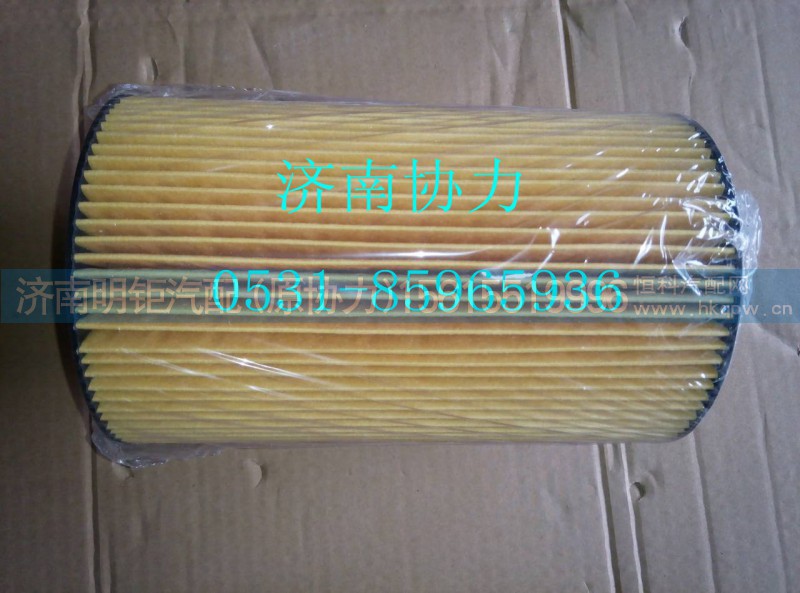 201V12503-0061,燃油滤清器芯 带O形圈,济南明钜汽车配件有限公司（原济南协力）