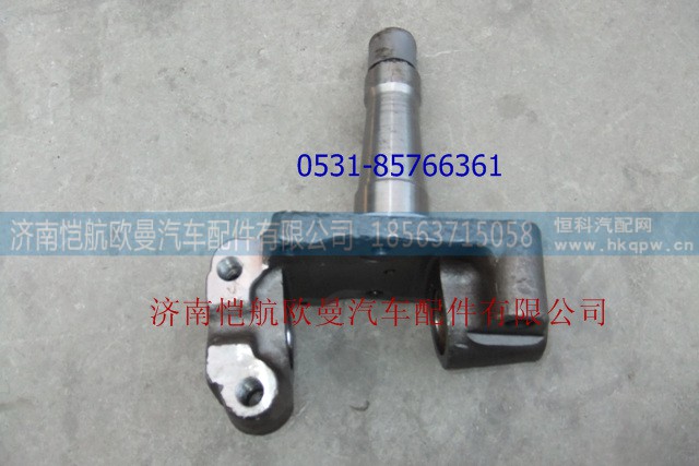 30N-01015,轉(zhuǎn)向節(jié)總成左國III,濟(jì)南愷航歐曼汽車配件有限公司