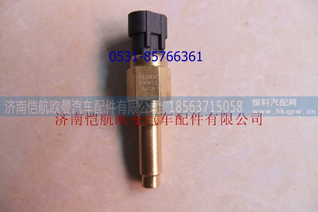 612600090672,水溫傳感器WP10,濟南愷航歐曼汽車配件有限公司