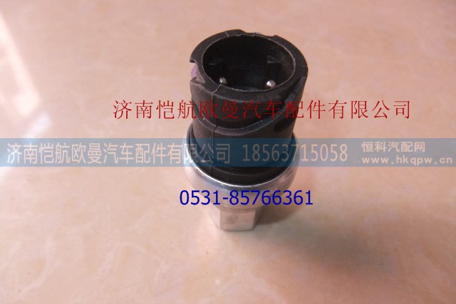 H0366080009A0,空濾器報(bào)警開關(guān),濟(jì)南愷航歐曼汽車配件有限公司