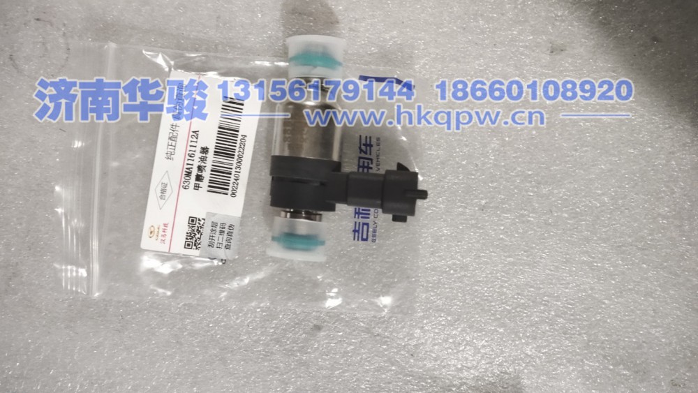 630MA1161112A甲醇喷油器 G2、H9甲醇   新能源   华菱重卡  星凯马  汉马 华骏
