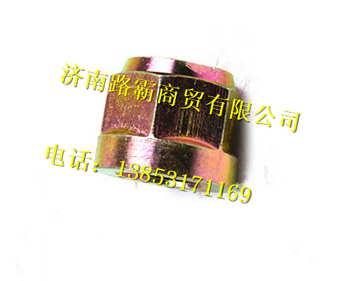 WG9725520750.,六角帶肩自鎖螺母,濟(jì)南匯德卡汽車零部件有限公司