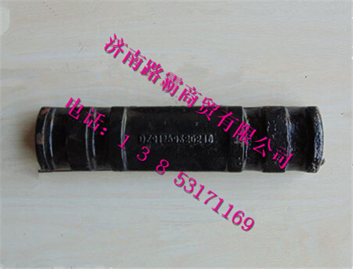 DZ91259520246.jpg,双卡后盖板,济南汇德卡汽车零部件有限公司