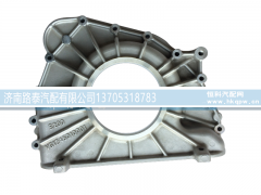 VG1246010001,前罩壳 WD12,济南路泰汽配有限公司