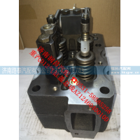 AZ1246040010D,汽缸盖总成,济南路泰汽配有限公司