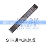 ,STR進氣道總成,濟南龍澤汽配有限公司
