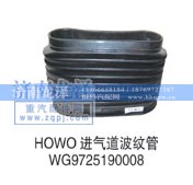 WG9725190008,进气道波纹管,济南龙泽汽配有限公司