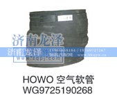 WG9725190268,空气软管,济南龙泽汽配有限公司