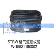 WG9631190002,進(jìn)氣道波紋管,濟(jì)南龍澤汽配有限公司