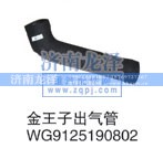 WG9125190802,金王子出气管,济南龙泽汽配有限公司