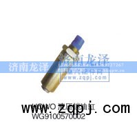 WG9100570002,液压锁油缸,济南龙泽汽配有限公司