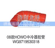 WG9719530,中冷器胶管,济南龙泽汽配有限公司