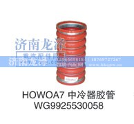 WG9925530058,中冷器膠管,濟(jì)南龍澤汽配有限公司