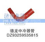DZ93259535815,中冷器管,济南龙泽汽配有限公司