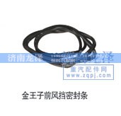 ,前风挡密封条,济南龙泽汽配有限公司