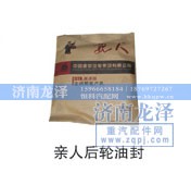 ,后輪油封,濟南龍澤汽配有限公司