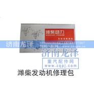 ,发动机修理包,济南龙泽汽配有限公司