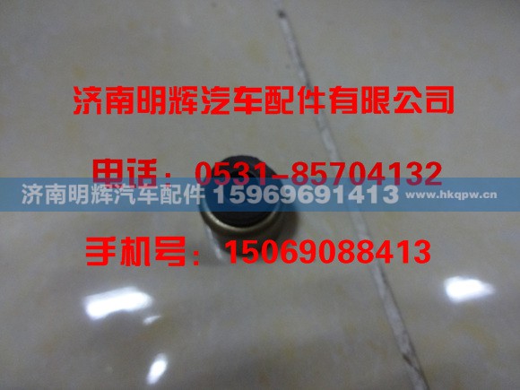 G6600-1003105,G6600-1003105气门杆油封,济南明辉汽车配件有限公司