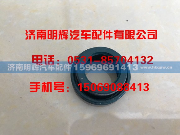 重汽豪沃配件，重汽王牌轻卡配件，骨架油封