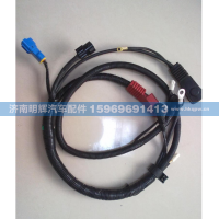 LG9704770004,重汽HOWO轻卡配件车门线束,济南明辉汽车配件有限公司