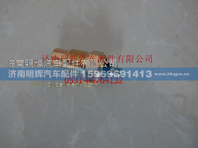 WG127513808A51-020B,重汽豪沃（HOWO）轻卡水温表传感器,济南明辉汽车配件有限公司
