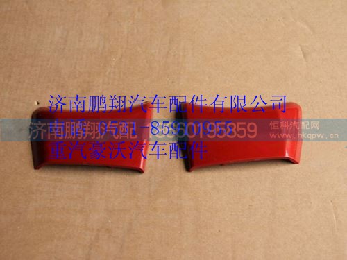 WG1664110071,重汽豪沃A7車門鉸鏈裝飾板左,濟南鵬翔汽車配件有限公司