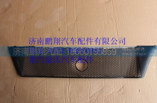 WG1664245002,重汽豪沃T5G保險杠裝飾網,濟南鵬翔汽車配件有限公司