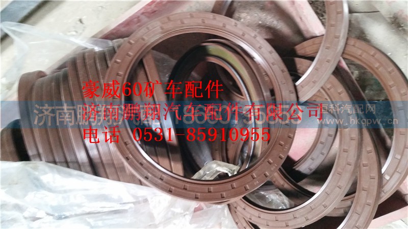 TZ56077000137,重汽豪威60矿大江迈克桥,济南鹏翔汽车配件有限公司