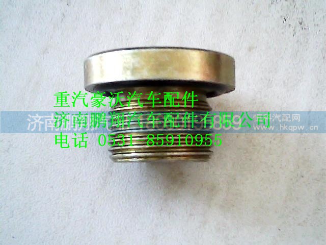 wg9231340002,重汽豪沃圓柱內(nèi)六角頭螺塞總成,濟(jì)南鵬翔汽車(chē)配件有限公司