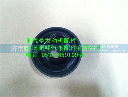 080V95800-6099,重汽曼MC07惰輪,濟(jì)南鵬翔汽車配件有限公司