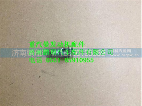 080V98150-0175,重汽曼MC07空心螺栓,濟南鵬翔汽車配件有限公司