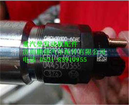 080V10100-6085,重汽曼MC07噴油器,濟南鵬翔汽車配件有限公司