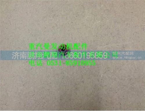 080V04902-0034,重汽曼MC07氣門(mén)桿密封套,濟(jì)南鵬翔汽車(chē)配件有限公司
