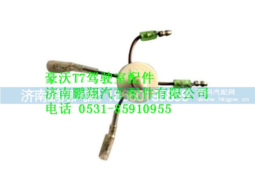 wg9925720017-0,杂物箱灯门控开关豪沃T7,济南鹏翔汽车配件有限公司