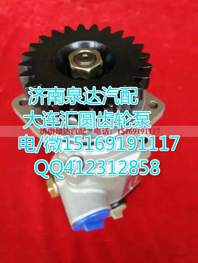 612630030294,轉向巨力泵/齒輪泵,濟南泉達汽配有限公司