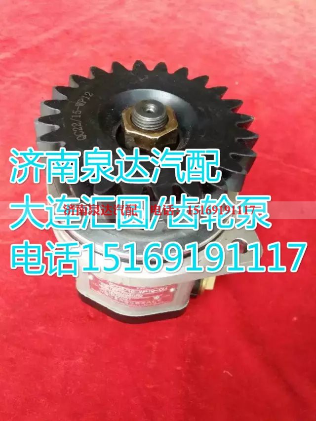612630030087,轉向巨力泵/齒輪泵,濟南泉達汽配有限公司