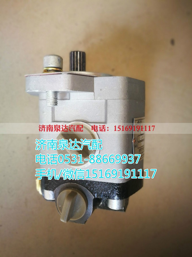 QC18/14-D14XZ,转向助力泵,济南泉达汽配有限公司