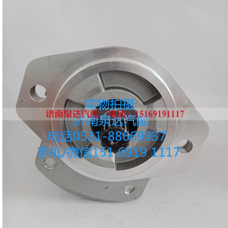QC20/14-226B,转向助力泵,济南泉达汽配有限公司