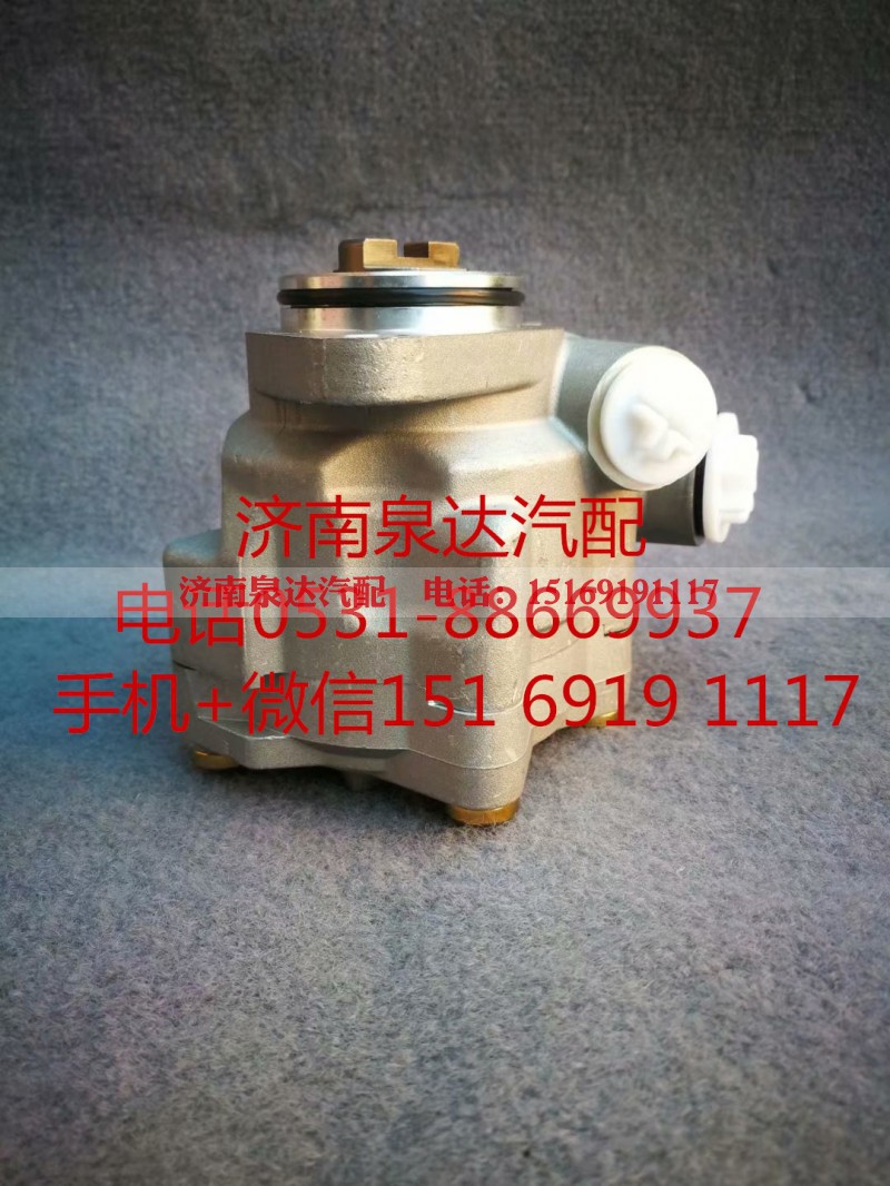 1000053934,助力泵,济南泉达汽配有限公司