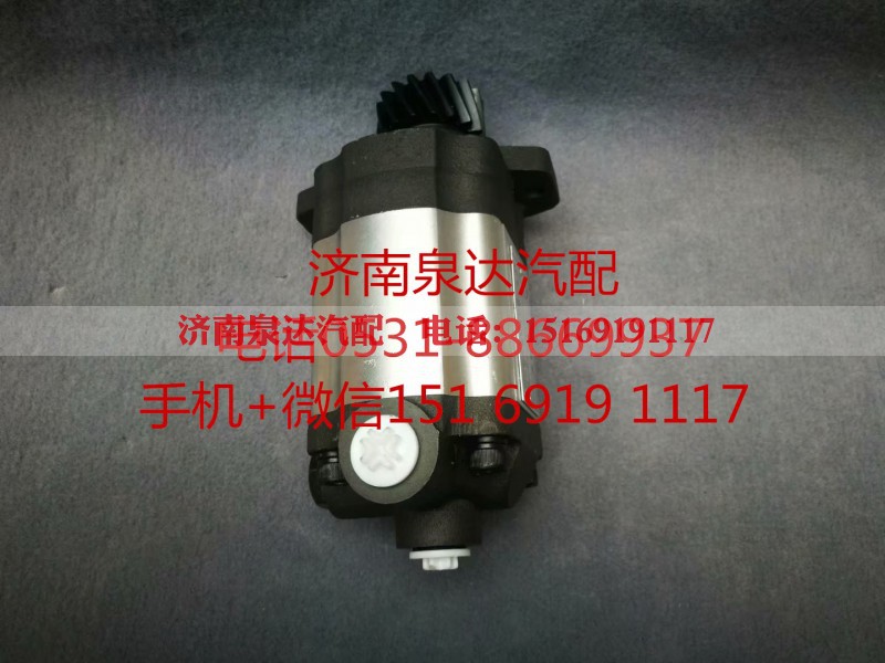 1010001303,转向助力泵,济南泉达汽配有限公司