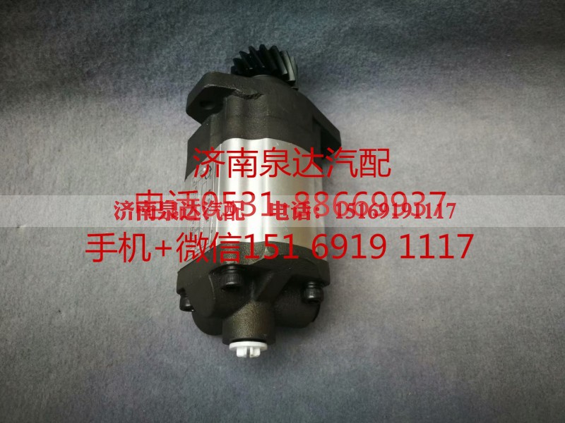 1010001303,转向助力泵,济南泉达汽配有限公司