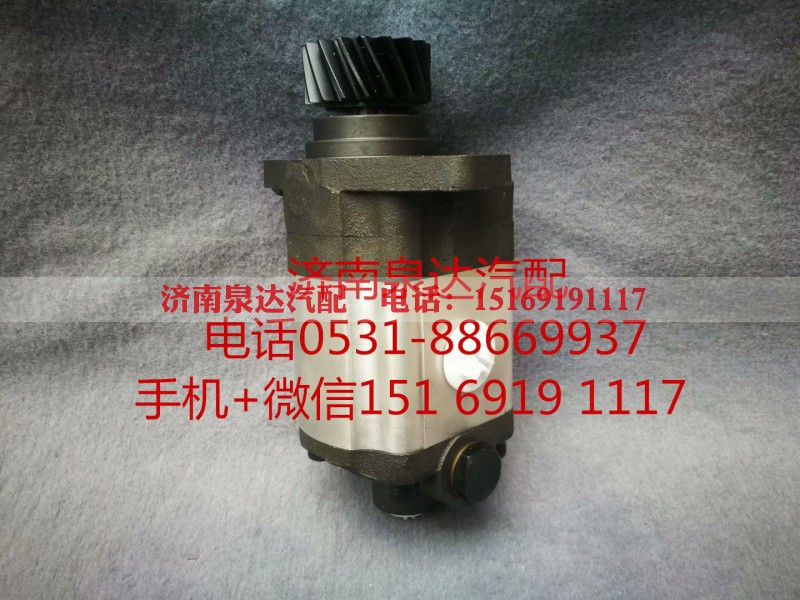 1032300004,转向助力泵,济南泉达汽配有限公司