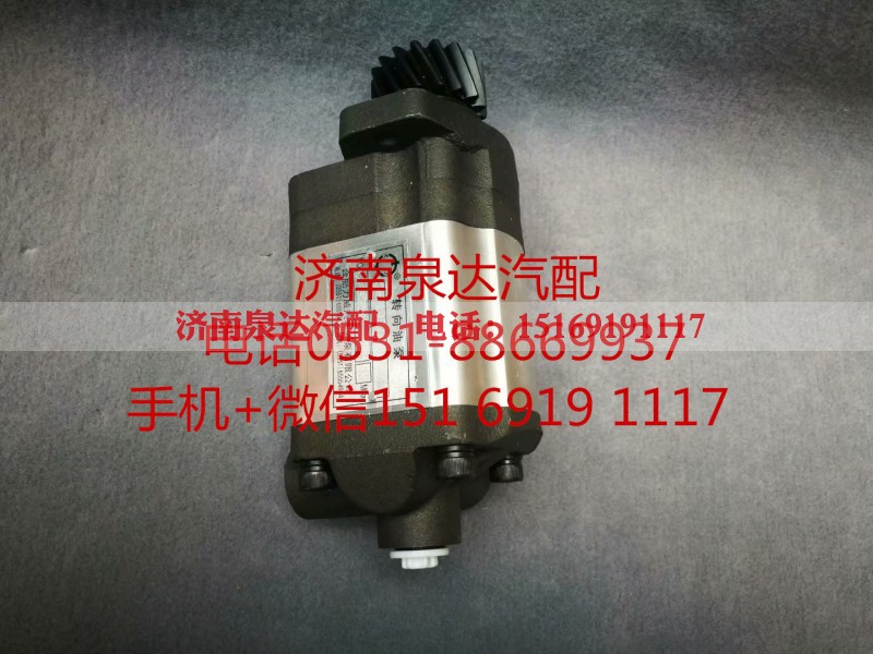1032300004,转向助力泵,济南泉达汽配有限公司
