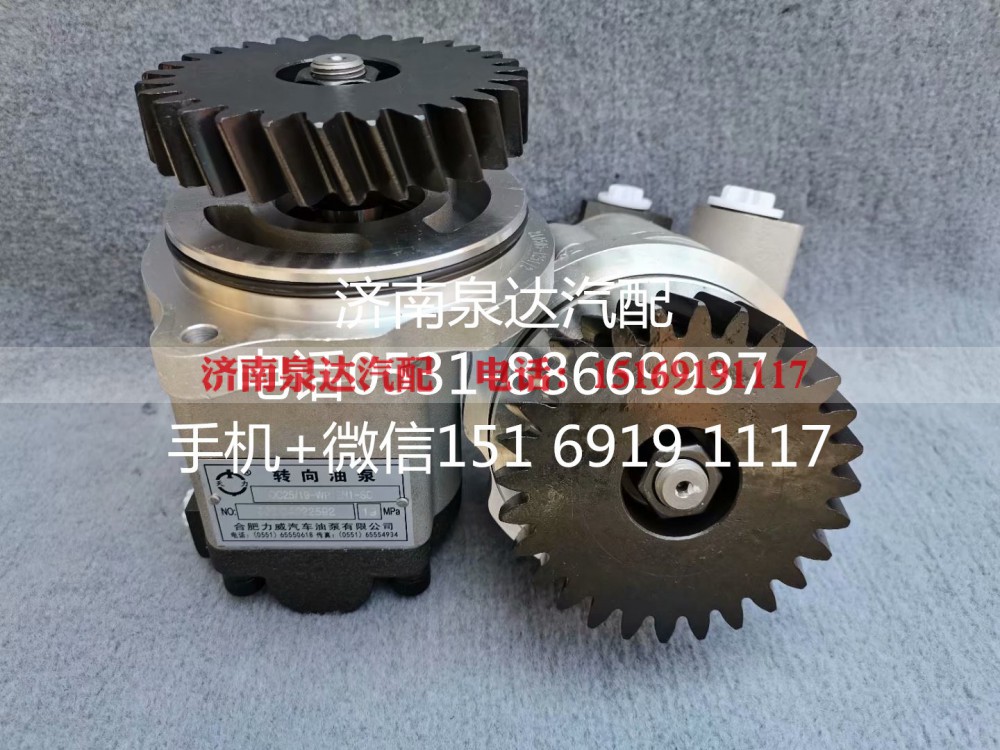 QC25/19-WP12N1-SD,转向助力泵,济南泉达汽配有限公司